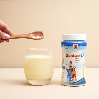 Ayurvedic Protein Supplement